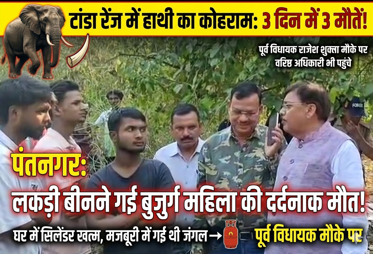 लकड़ी लेने जंगल गई बुजुर्ग महिला को हाथी ने पटक-पटककर मार डाला